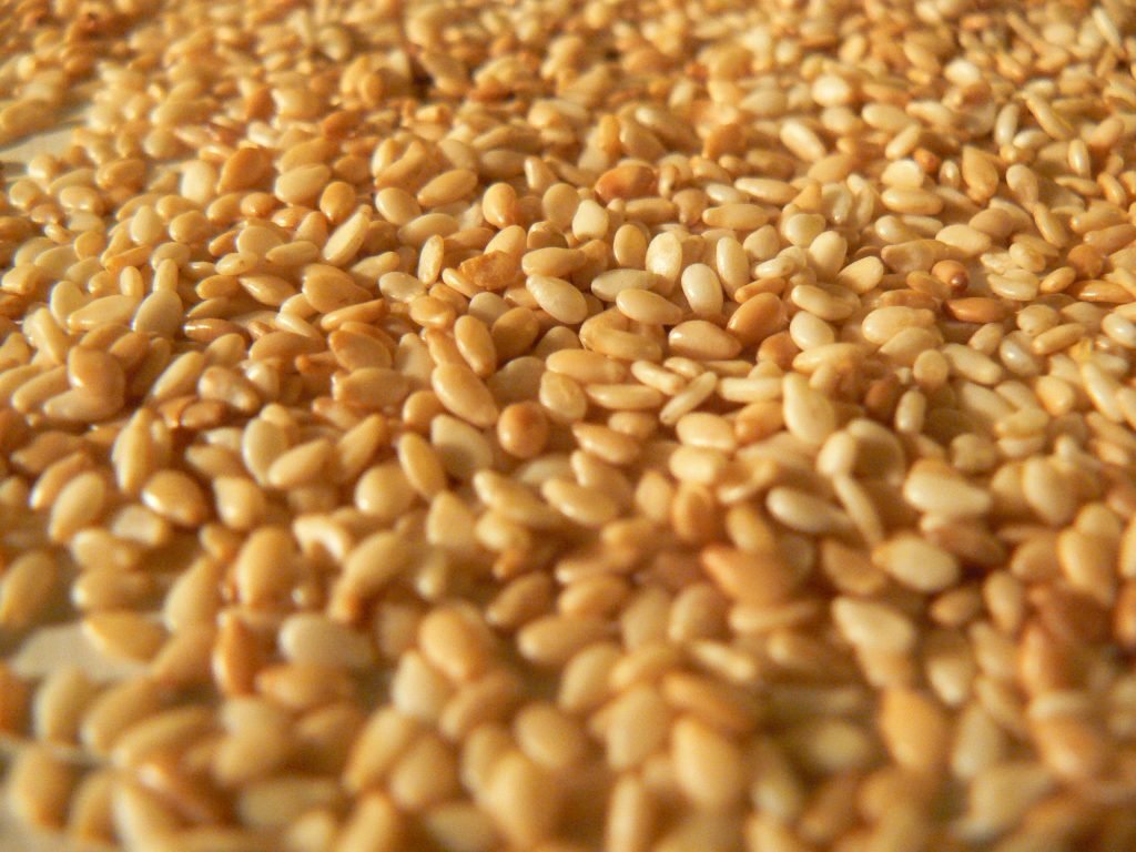 Sesame Seeds