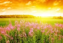 Go Out More and Let Sunlight Contribute to Your Health. Invest Now!