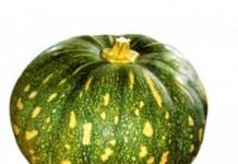 What Are The Benefits Of Pumpkin or Kaddu?
